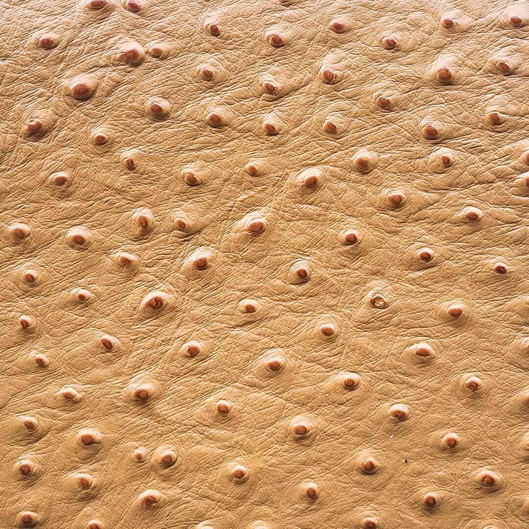 Chrysalis Leather Panels | Mustard Ostrich
