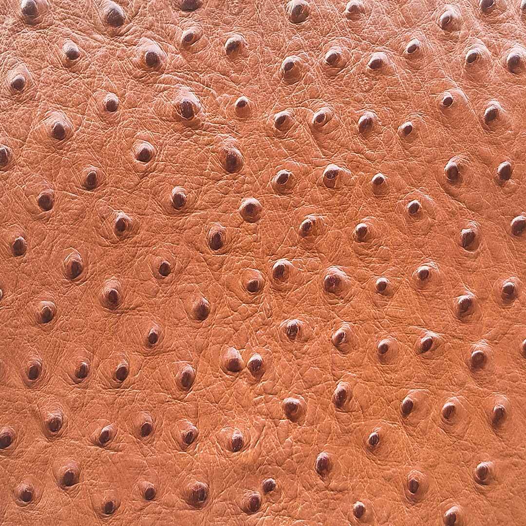 Chrysalis Leather Panels | Tan Ostrich